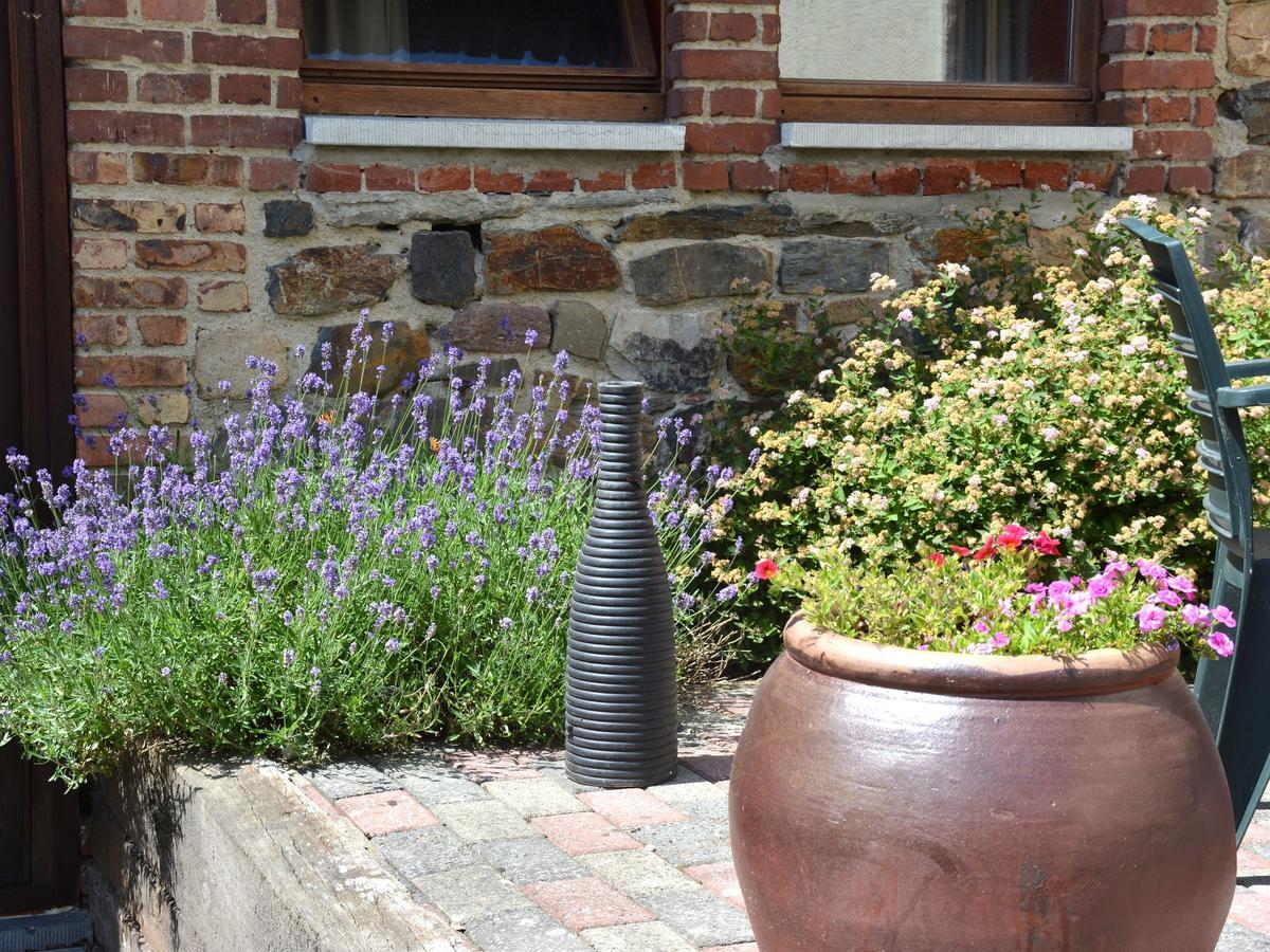 Appartement Comfortable With Terrace Trois-Ponts